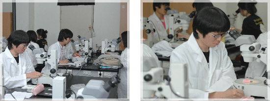 현미경 실습