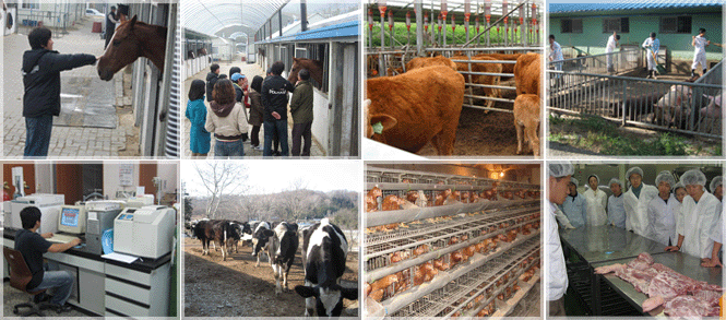 동물생명공학과